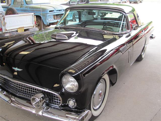 1956 Ford Thunderbird (CC-947849) for sale in Florence, Alabama