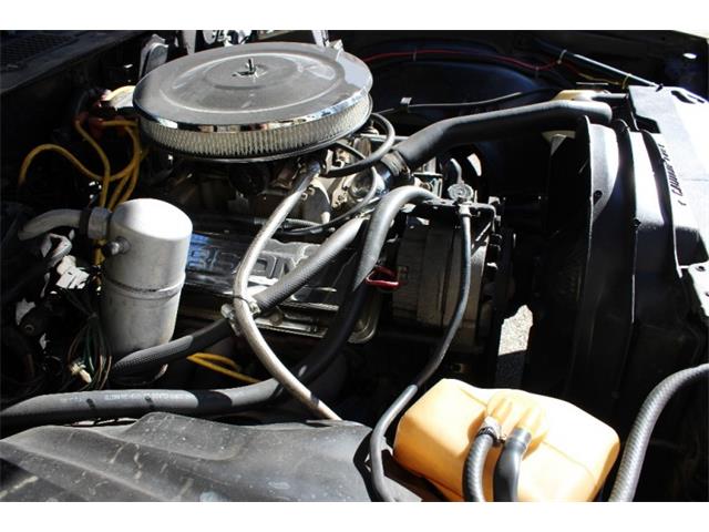 1977 Chevrolet Camaro Z28 (CC-948689) for sale in Van Nuys, California