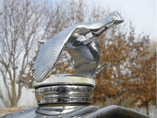 1931 Ford Model A Rumble Seat Deluxe Roadster (CC-948770) for sale in Volo, Illinois