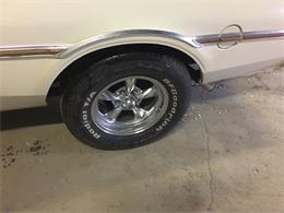 1979 Dodge Aspen (CC-940886) for sale in Annandale, Minnesota