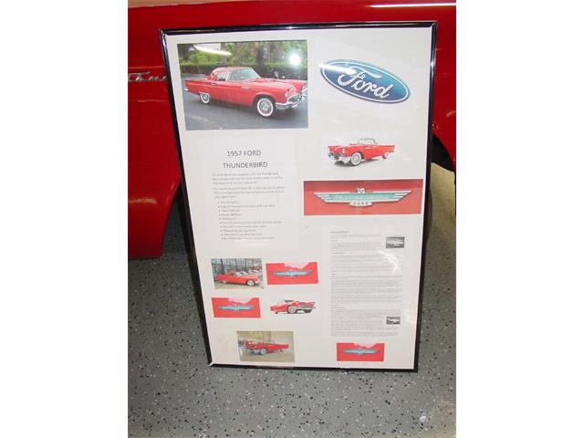 1957 Ford Thunderbird (CC-954819) for sale in Colorado Springs, Colorado