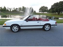 1991 Ford Mustang (CC-954827) for sale in davenport, Florida