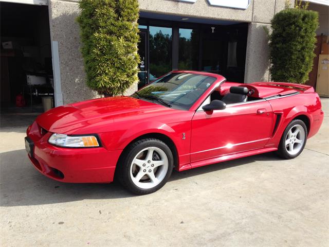 1999 Ford Mustang SVT Cobra (CC-955139) for sale in Spring Valley, California