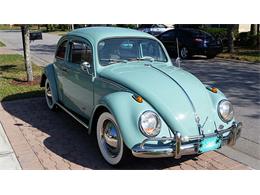 1963 Volkswagen Beetle (CC-955193) for sale in Fort Lauderdale, Florida