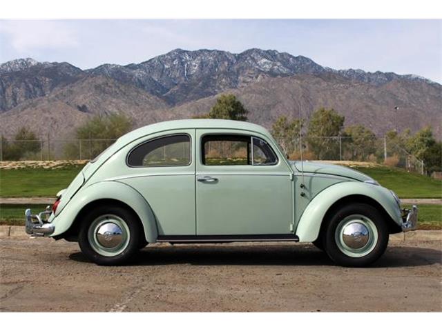 1962 Volkswagen Beetle (CC-955242) for sale in Palm Springs, California
