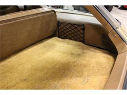 1976 AMC Pacer (CC-955406) for sale in Kentwood, Michigan