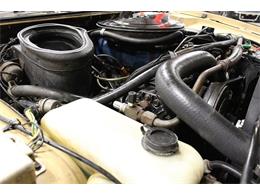 1976 AMC Pacer (CC-955406) for sale in Kentwood, Michigan