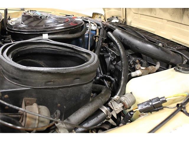 1976 AMC Pacer (CC-955406) for sale in Kentwood, Michigan