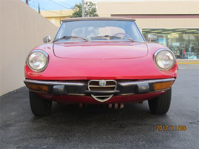 1974 Alfa Romeo Spider (CC-950547) for sale in Valley Village, California