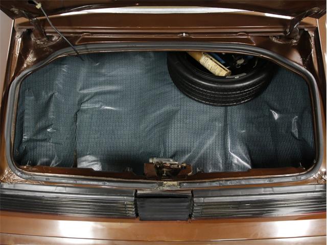 1979 Pontiac Firebird Trans Am WS6 (CC-955619) for sale in Concord, North Carolina