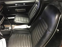 1970 AMC AMX (CC-955772) for sale in MILL HALL, Pennsylvania