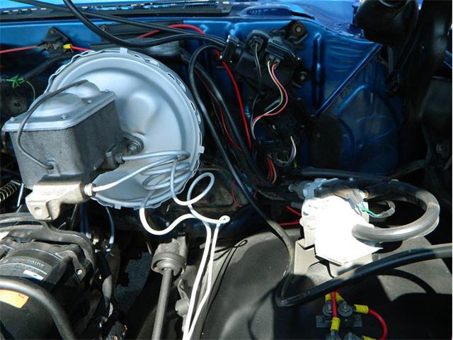 1980 Chevrolet Blazer (CC-955779) for sale in Fort Lauderdale, Florida
