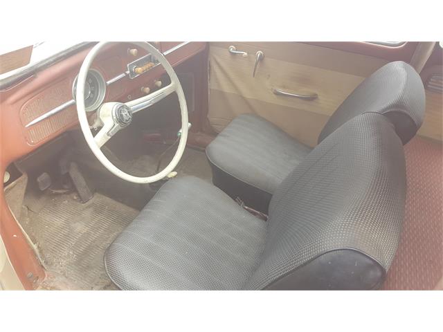 1961 Volkswagen Beetle (CC-955809) for sale in Houston, Texas