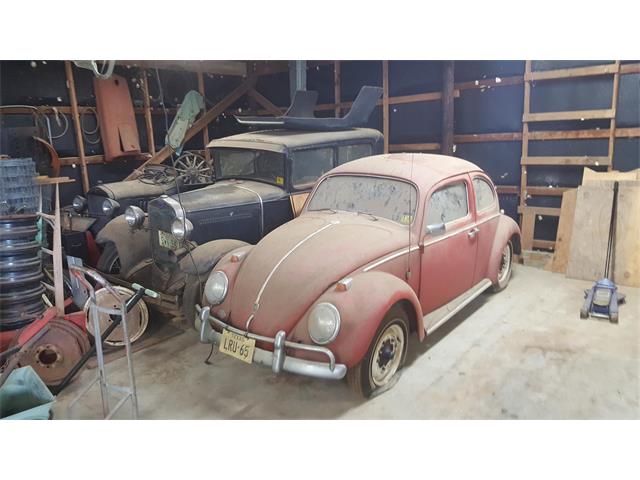 1961 Volkswagen Beetle (CC-955809) for sale in Houston, Texas