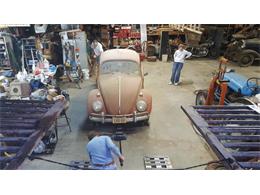 1961 Volkswagen Beetle (CC-955809) for sale in Houston, Texas