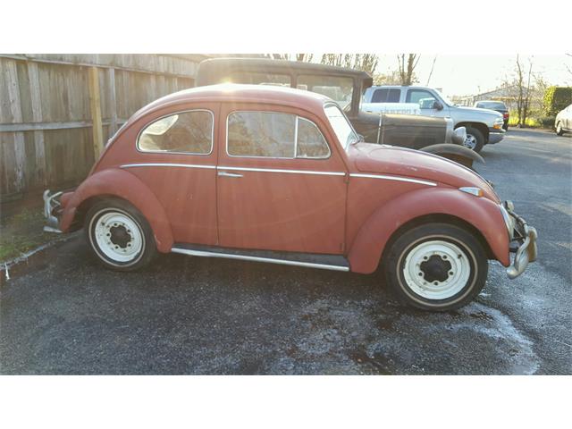 1961 Volkswagen Beetle (CC-955809) for sale in Houston, Texas