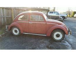 1961 Volkswagen Beetle (CC-955809) for sale in Houston, Texas