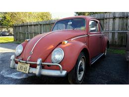 1961 Volkswagen Beetle (CC-955809) for sale in Houston, Texas