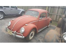 1961 Volkswagen Beetle (CC-955809) for sale in Houston, Texas
