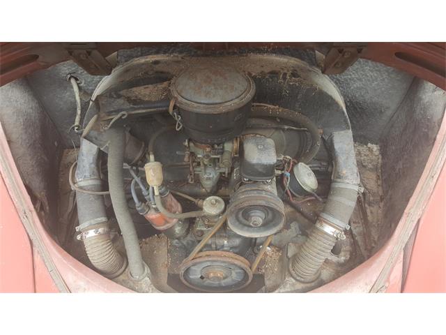 1961 Volkswagen Beetle (CC-955809) for sale in Houston, Texas