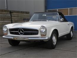1964 Mercedes-Benz 230SL (CC-955961) for sale in Waalwijk, Waalwijk