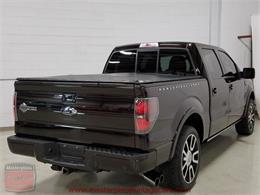 2010 Ford F150 SuperCrew Harley-Davidson 4WD (CC-956021) for sale in Whiteland, Indiana