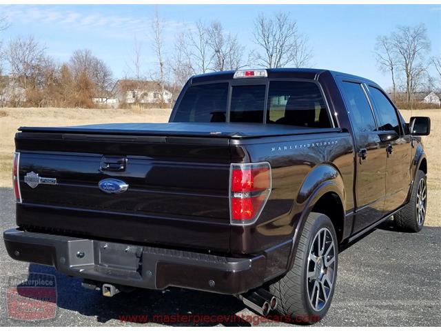 2010 Ford F150 SuperCrew Harley-Davidson 4WD (CC-956021) for sale in Whiteland, Indiana