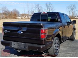 2010 Ford F150 SuperCrew Harley-Davidson 4WD (CC-956021) for sale in Whiteland, Indiana