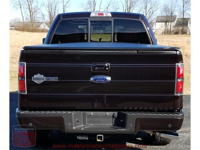 2010 Ford F150 SuperCrew Harley-Davidson 4WD (CC-956021) for sale in Whiteland, Indiana
