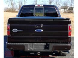 2010 Ford F150 SuperCrew Harley-Davidson 4WD (CC-956021) for sale in Whiteland, Indiana