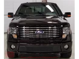 2010 Ford F150 SuperCrew Harley-Davidson 4WD (CC-956021) for sale in Whiteland, Indiana