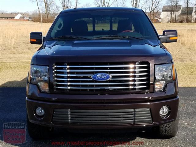 2010 Ford F150 SuperCrew Harley-Davidson 4WD (CC-956021) for sale in Whiteland, Indiana