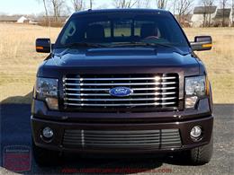 2010 Ford F150 SuperCrew Harley-Davidson 4WD (CC-956021) for sale in Whiteland, Indiana