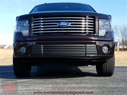 2010 Ford F150 SuperCrew Harley-Davidson 4WD (CC-956021) for sale in Whiteland, Indiana