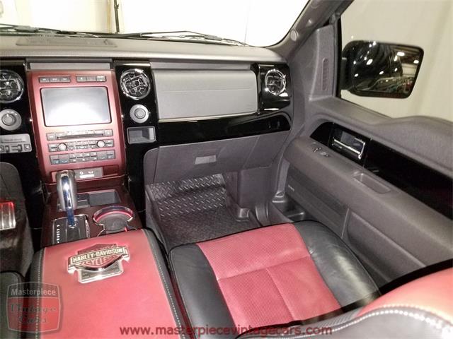 2010 Ford F150 SuperCrew Harley-Davidson 4WD (CC-956021) for sale in Whiteland, Indiana