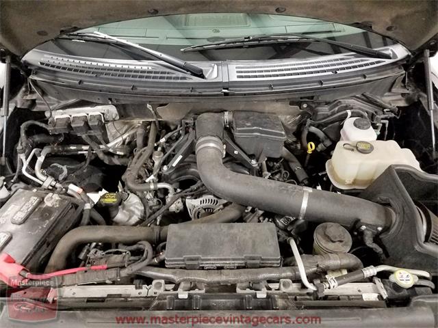 2010 Ford F150 SuperCrew Harley-Davidson 4WD (CC-956021) for sale in Whiteland, Indiana