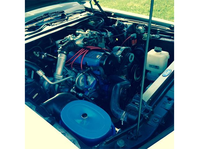 1986 Ford Thunderbird  (CC-956039) for sale in Aliquippa, Pennsylvania