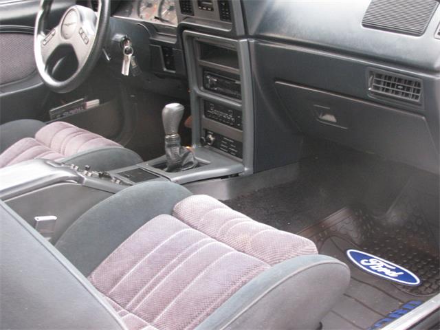 1986 Ford Thunderbird  (CC-956039) for sale in Aliquippa, Pennsylvania