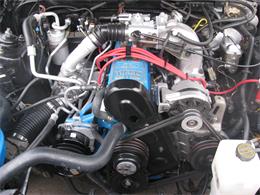 1986 Ford Thunderbird  (CC-956039) for sale in Aliquippa, Pennsylvania
