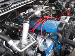 1986 Ford Thunderbird  (CC-956039) for sale in Aliquippa, Pennsylvania