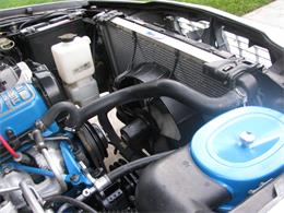 1986 Ford Thunderbird  (CC-956039) for sale in Aliquippa, Pennsylvania