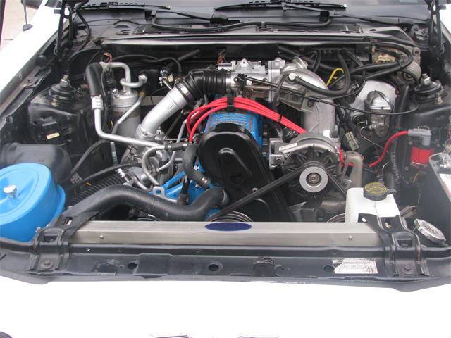 1986 Ford Thunderbird  (CC-956039) for sale in Aliquippa, Pennsylvania