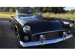 1955 Ford Thunderbird (CC-956094) for sale in Fort Lauderdale, Florida