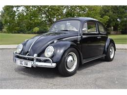 1963 Volkswagen Beetle (CC-956233) for sale in San Jose, California