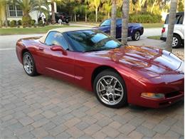 2001 Chevrolet Corvette (CC-956818) for sale in Zephyrhills, Florida