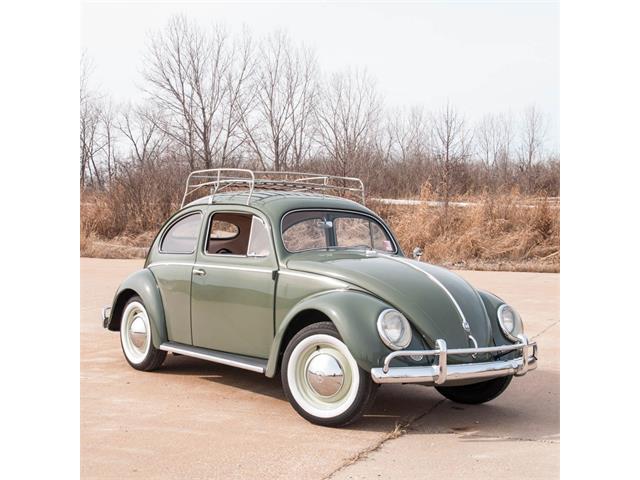 1957 Volkswagen Beetle Ovel Window (CC-957706) for sale in St. Louis, Missouri