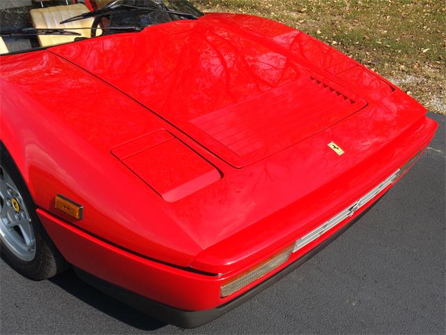 1987 Ferrari 328 GTS (CC-957779) for sale in Siloam Springs, Arkansas