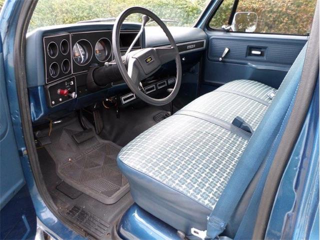 1980 Chevrolet K-10 Custom Deluxe (CC-958025) for sale in Punta Gorda, Florida