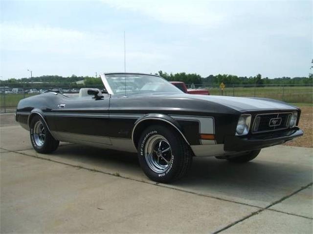 1973 Ford Mustang (CC-958079) for sale in Cadillac, Michigan