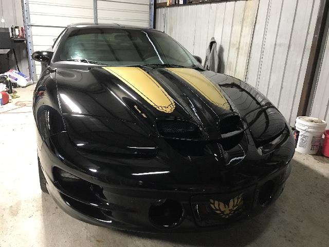 1999 Pontiac Firebird Trans Am (CC-958296) for sale in Lexington, South Carolina